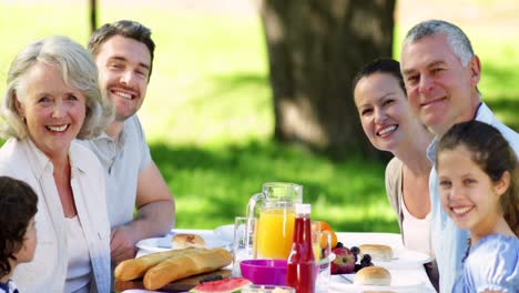 familia extendida almorzando en el parque sonriendo a la cámara