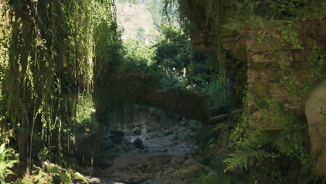 lush jungle path through ancient ruins