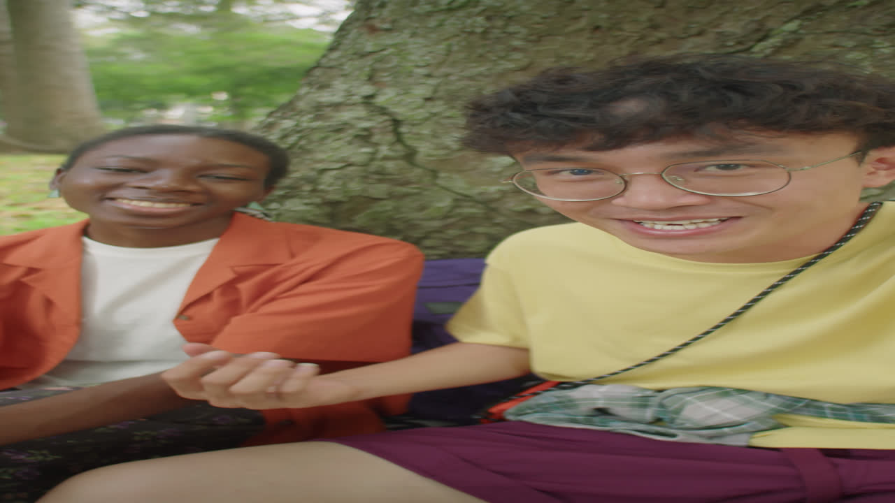 Joyous Multiethnic Couple Chatting on Camera in Park