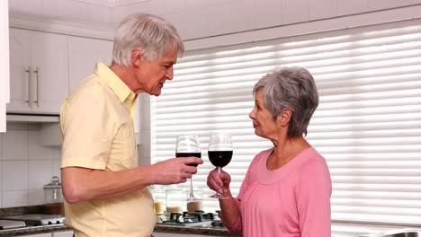 Senior-couple-drinking-red-wine