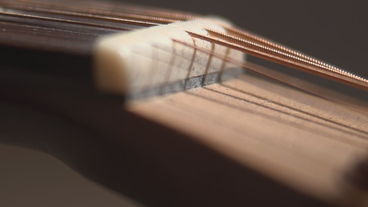 Closeup Nut Slot And Wound Strings Showing Alignment Action And Precision Setup With Soft Studio Lighting . Media