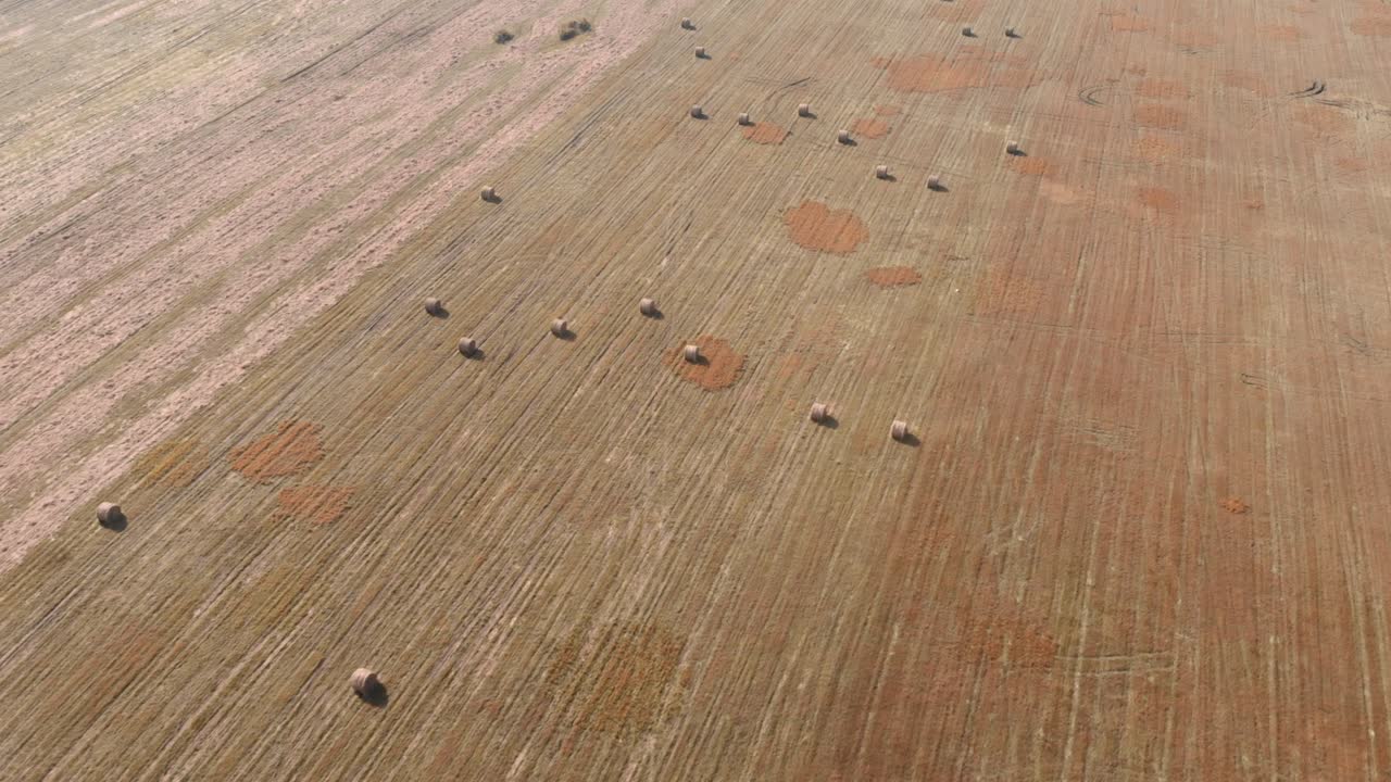 에 있는. 밀에 의. 여름에 시골의 공중 풍경. 농학 및 농업 사업 개념