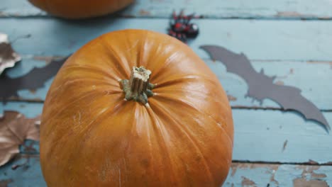 Close-up-view-of-pumpkins,-spider-and-bat-toy-on-blue-wooden-surface