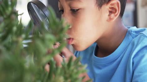 a young african american student examines plant with a magnifying glass