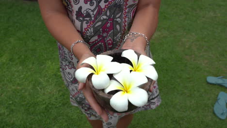 woman is standing on the grass and she keeps on her hands a cap with white plumeria hawaiian flowers, picked up in the morning