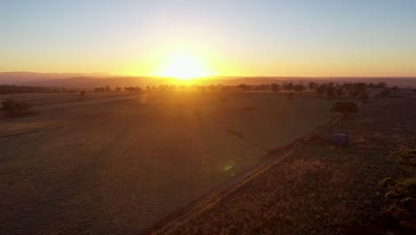 glowing golden sunrise over countryside wide stretched plains with shrubs, aerial dolly in