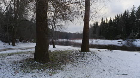 vidzeme de letonia en el mes de enero
