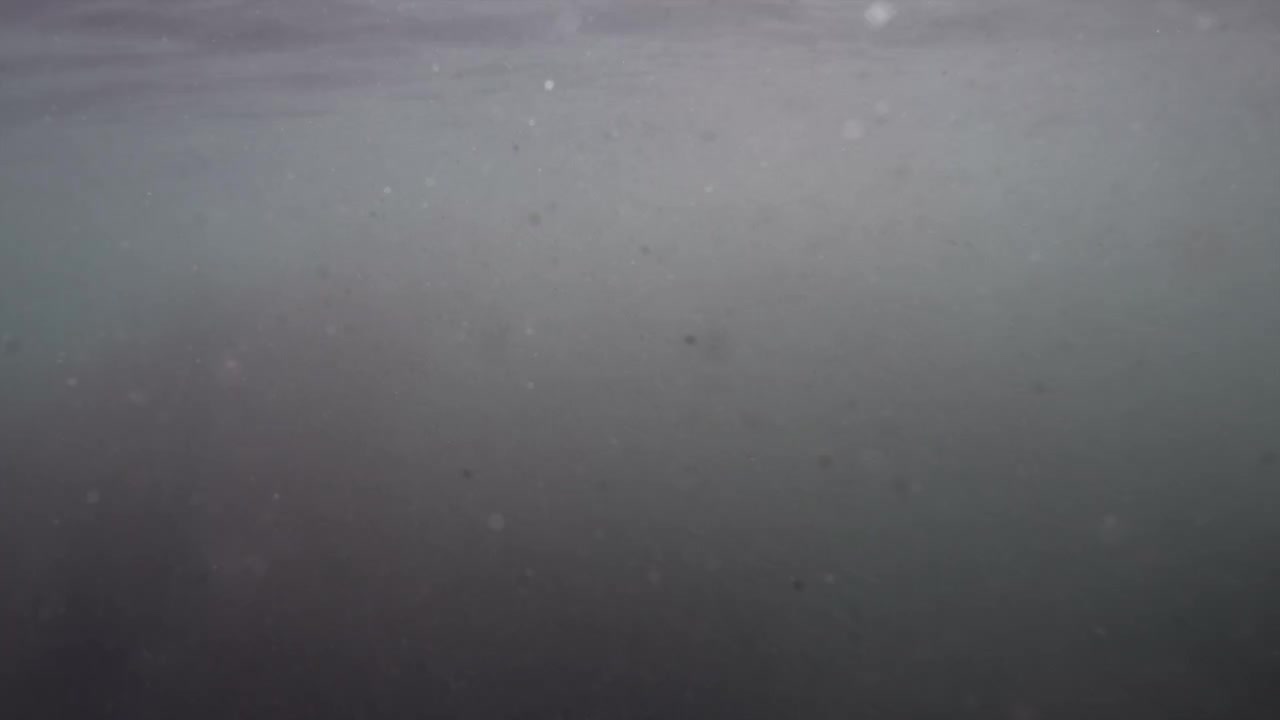 Dust particles floating in air against a dark, hazy, and blurry background, creating an abstract, mysterious atmosphere