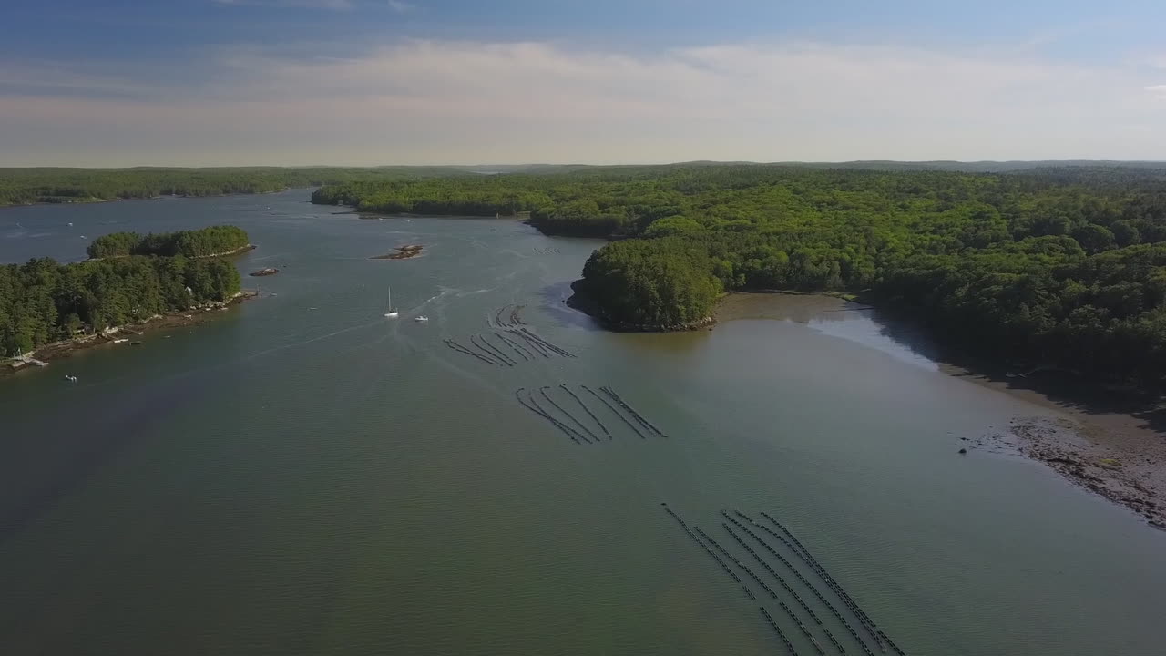Oyster farm in Damariscotta River Maine from viewpoint of drone
