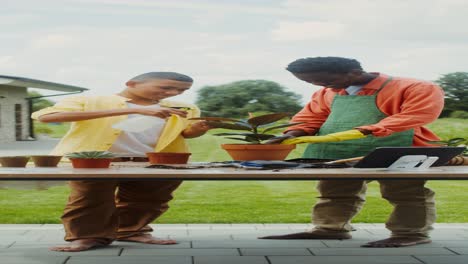 father and son gardening together