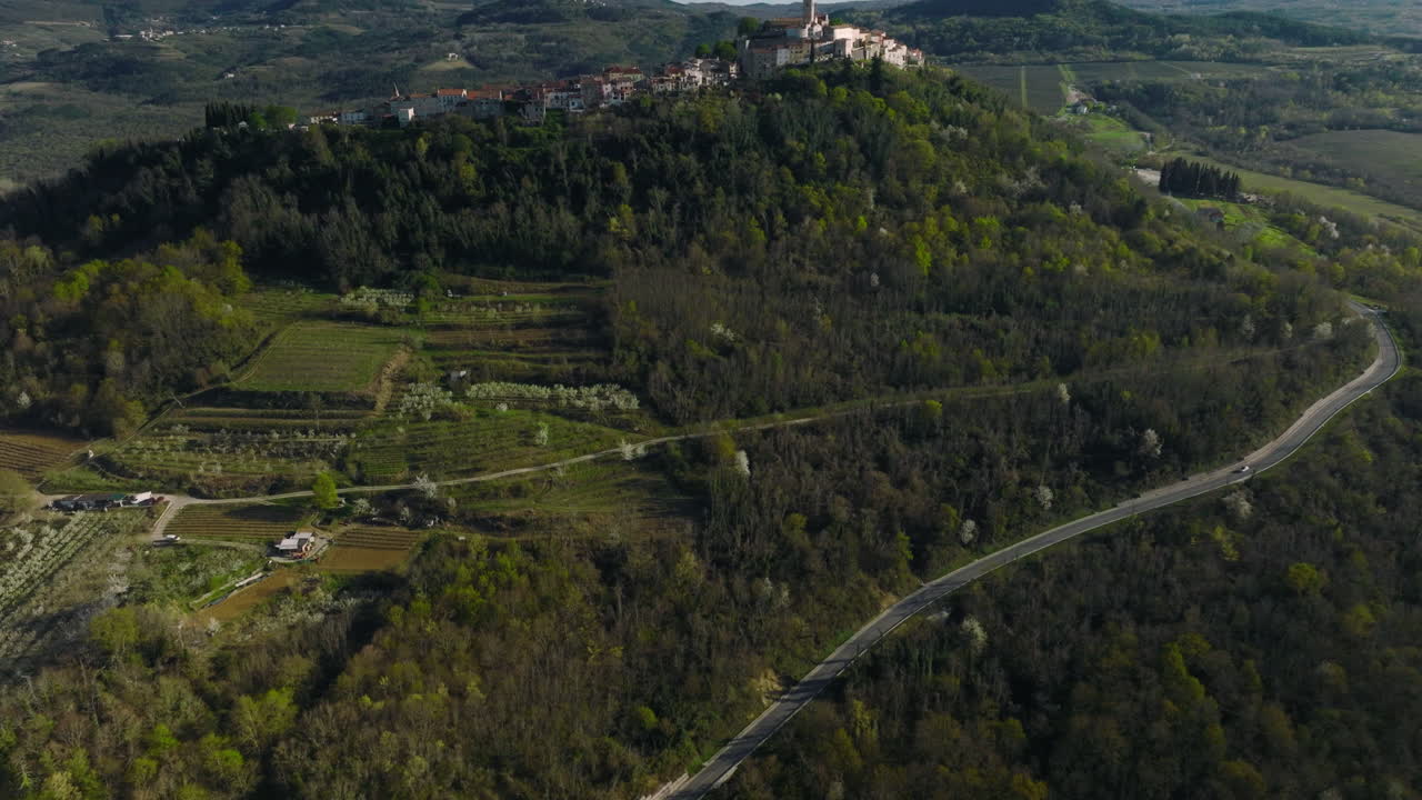 carretera curva cerca de la ciudad de motovun, en la cima de una colina, en istria, croacia, en un día soleado
