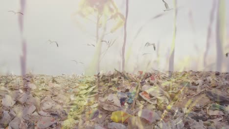 animation of grass moving over waste disposal site