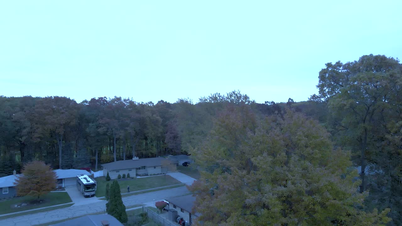 temprano en la mañana sobre varios árboles en transición