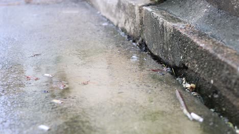 water droplet splashing on concrete steps over time.