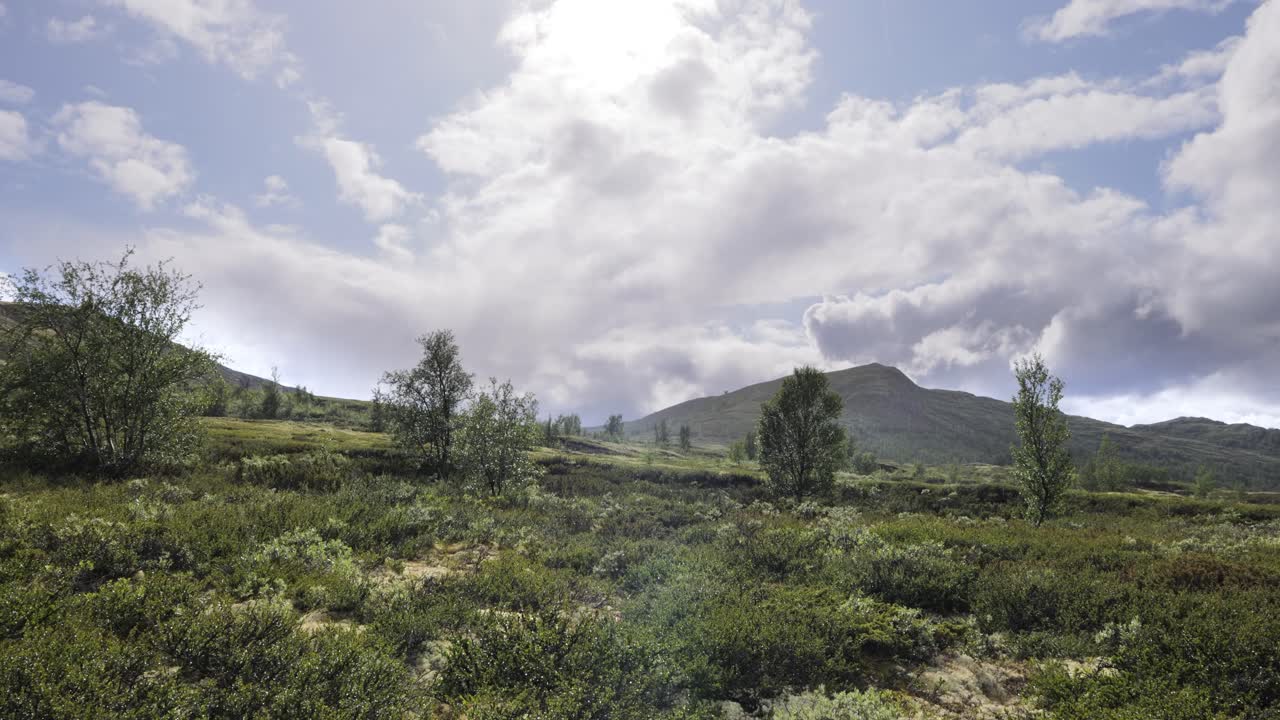 la lluvia sobre la tundra ártica, la hermosa naturaleza de noruega.