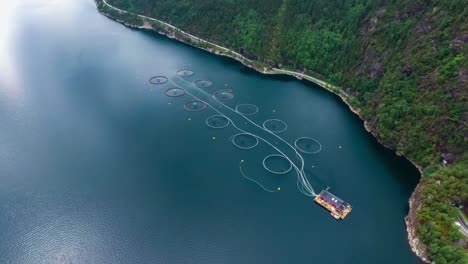 aerial footage farm salmon fishing in norway