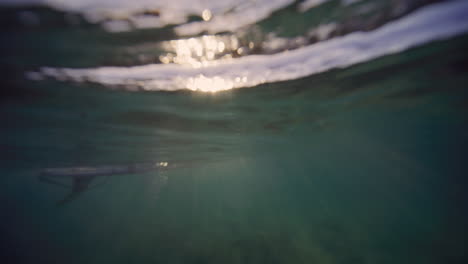 surfers wait at ocean surface as sunlight rays sparkle in water