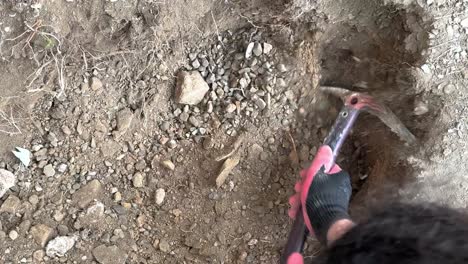 workforce digging shovel of dirt in farmland gardening iran horticulture lifestyle soil cultivation saplings plantation in springtime restore ecosystem healthy colorful earth reproduction agriculture