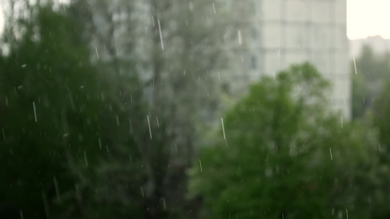 Drops of heavy rain are falling against the background of trees and city houses