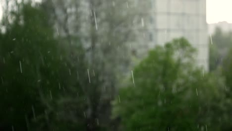 강우의 방울은 나무와 도시 집의 배경에 떨어지고 있습니다.