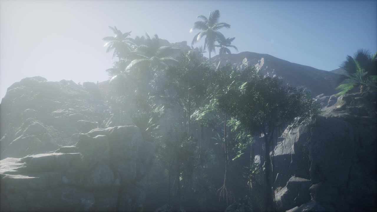 4k increíble amanecer en la plantación de palma de aceite. vista aérea de las aves. tailandia.