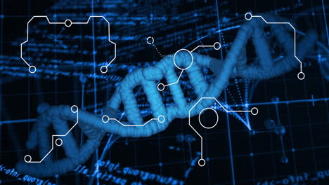 dna strand processing scientific data with binary coding in animation sequence