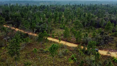 Antena-Siguiendo-Un-Todoterreno-A-Través-De-Las-Copas-De-Los-árboles-En-Un-Camino-De-Tierra-En-La-Reserva-Forestal-De-Montaña-De-Pinos-En-Belice