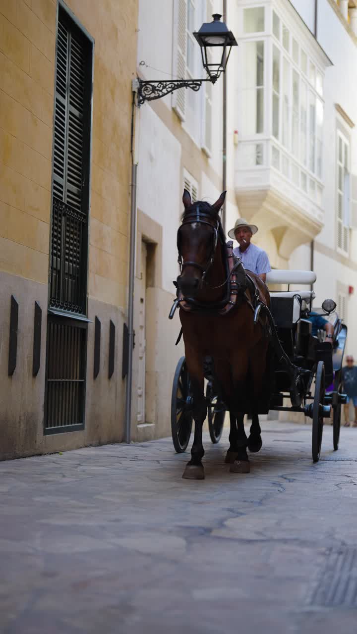 Vertical shot of retro horse carriage with passengers on street of Mallorca