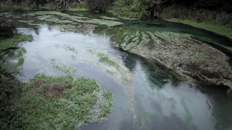 A serene river landscape with lush vegetation
