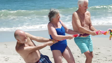 Amigos-Mayores-Jugando-Tira-Y-Afloja