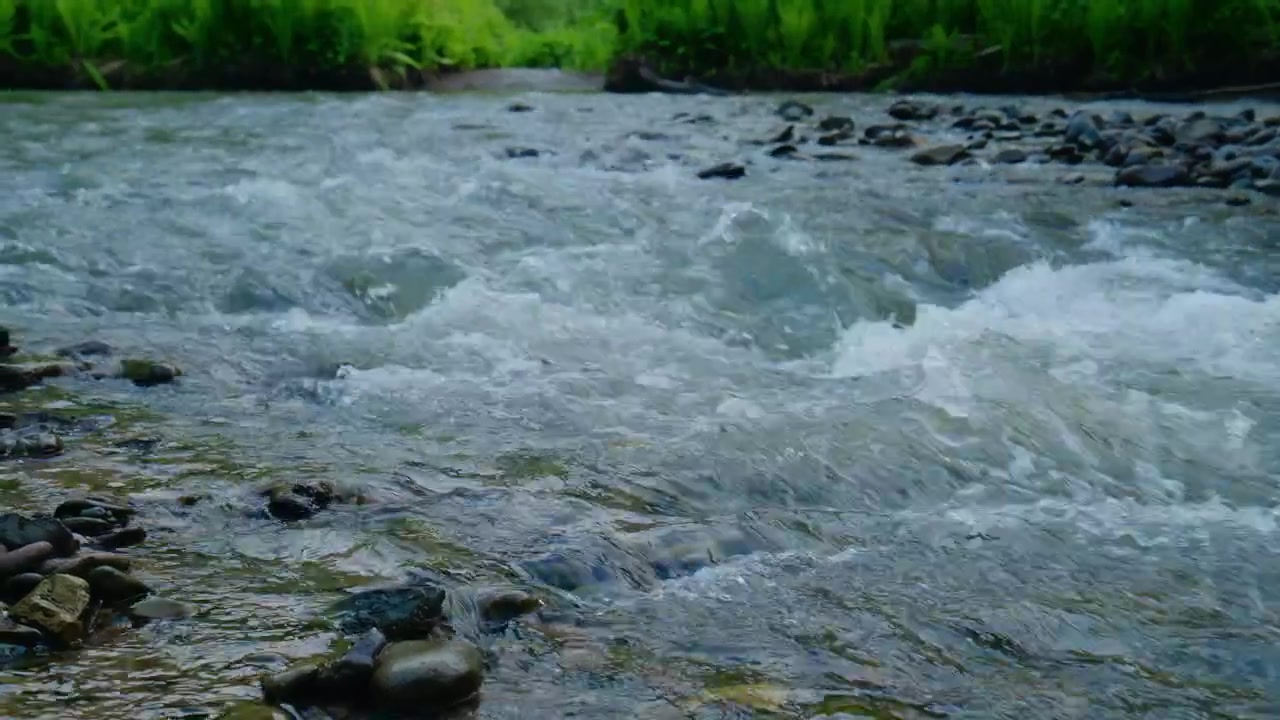 Un fiume di montagna impetuoso scorre su pietre lisce. L'acqua limpida crea schiuma bianca mentre scorre impetuosa. Alberi verdi lussureggianti costeggiano la riva del fiume sullo sfondo. Nessuna persona visibile. Filmato ideale per la natura.