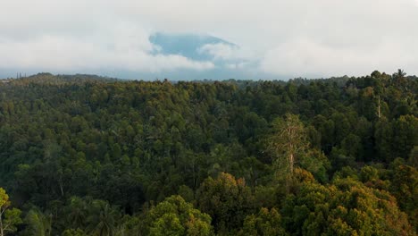 Vista-Aérea-Cinematográfica-De-Drones-Volando-Sobre-Un-Denso-Bosque-Verde