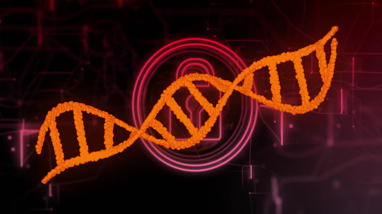 animación de cadena de adn sobre cerradura digital y fondo de circuito