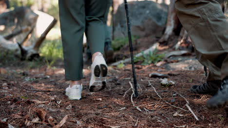 excursionistas en un sendero forestal