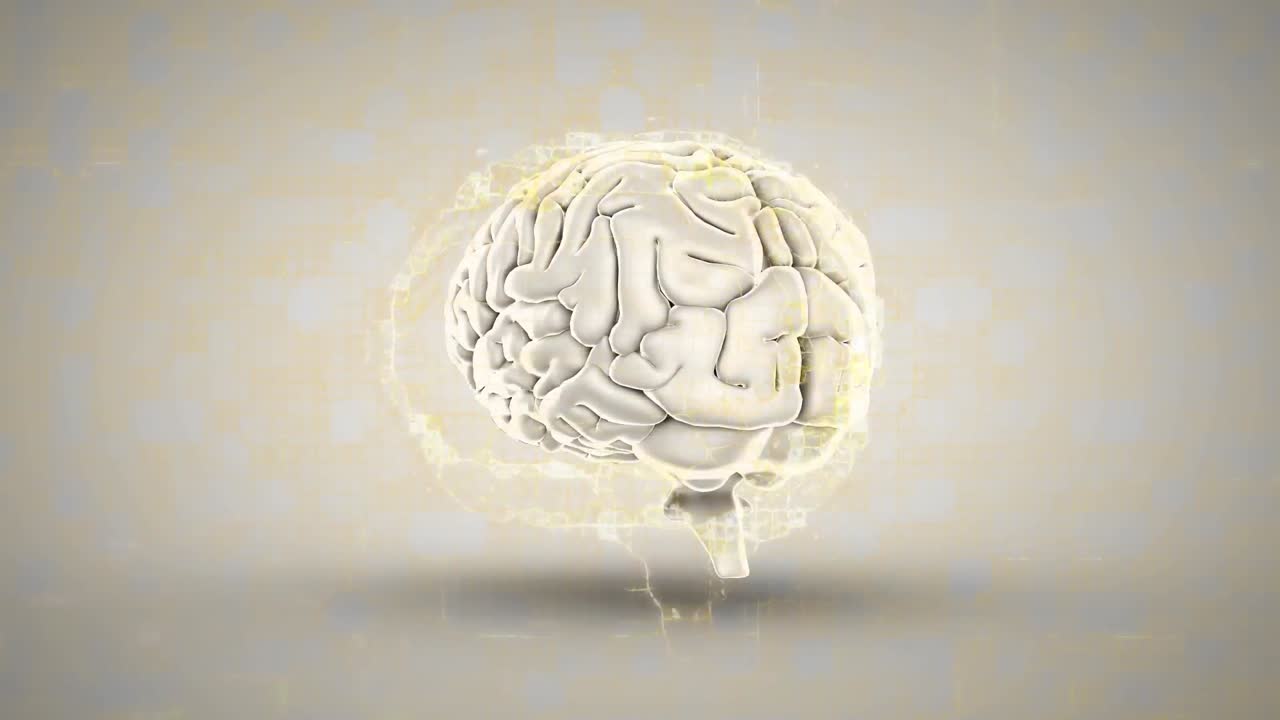 검은 바탕을 배경으로 인간의 뇌를 회전시키는 연결망의 디지털 애니메이션