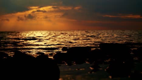 naturaleza color dorado oscuro puesta de sol vista al mar flujo de agua golpeando las rocas y las hojas por la noche