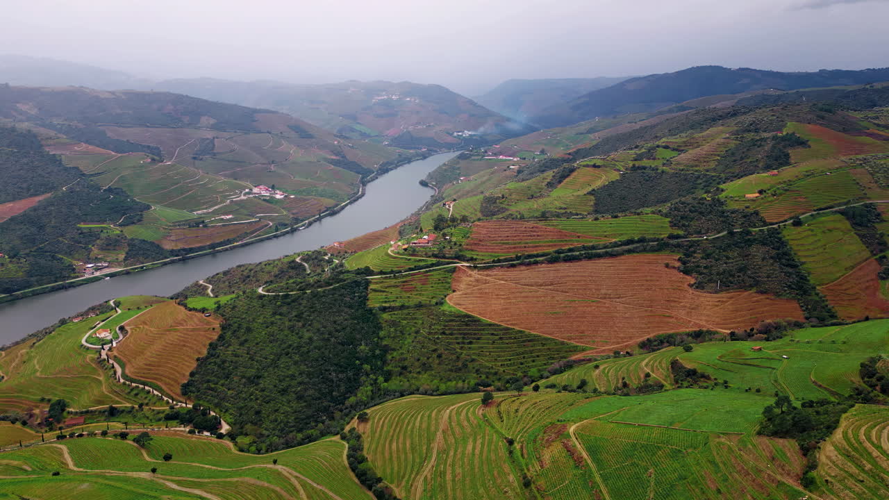 Le pittoresche colline terrazzate modellate da un drone creano uno scenario rurale suggestivo. Fiume che scorre