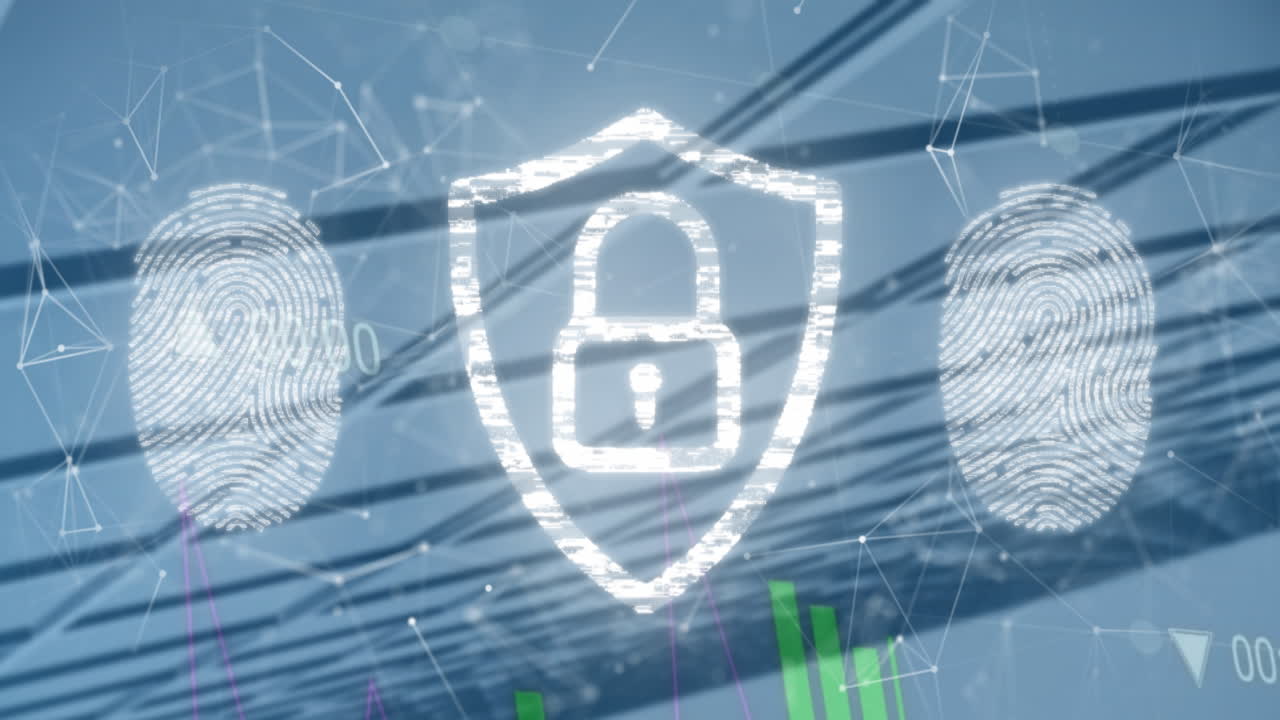 ⁇ 락 아이콘의 애니메이션, 생체인식 지문 및 데이터 처리