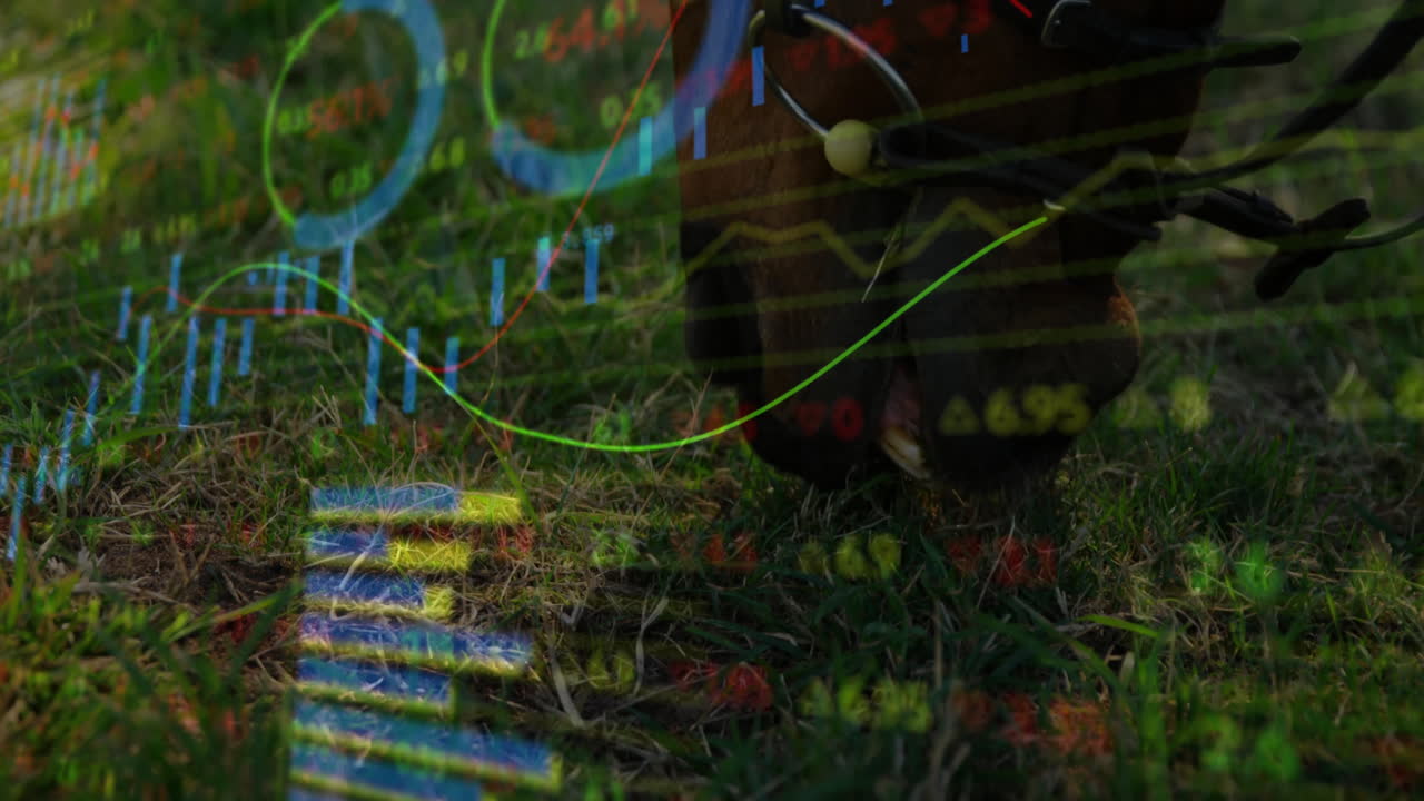 Flat design punching bag hanging over grass field while translucent stock market graphs flowing