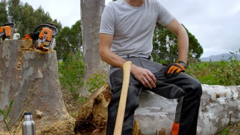 Lumberjack-relaxing-on-tree-stump-4k