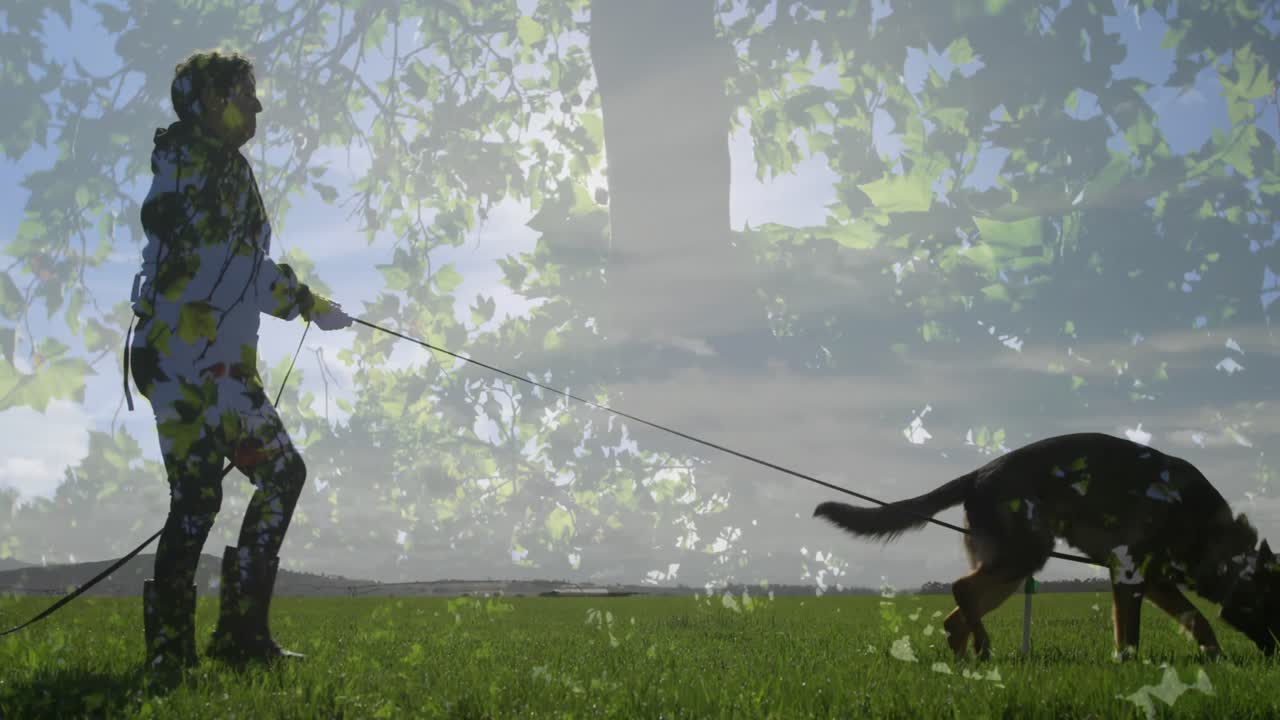 정원에서 개를 산책시키는 백인 고령 여성에 대한 키가 큰 트레스의 복합 비디오