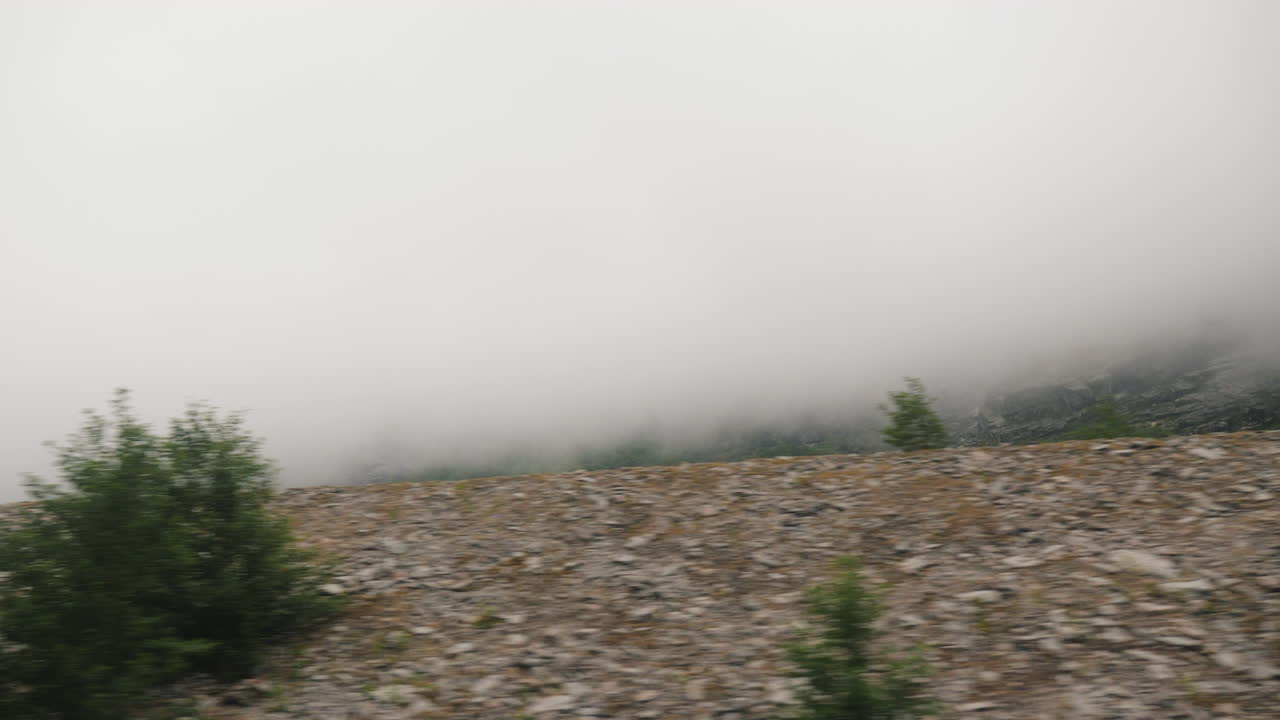 버스 창밖으로 보이는 짙은 안개 속으로 들어가 길가만 보인다