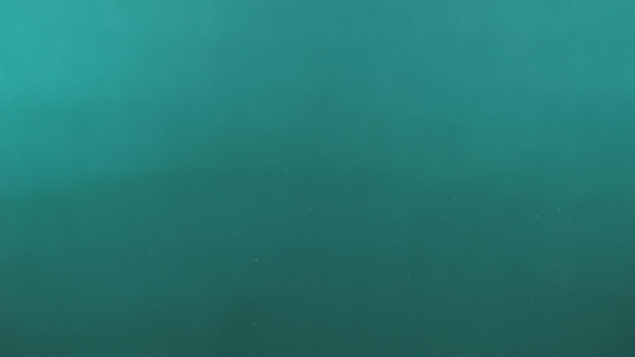 una gota de lluvia cae en el agua verde, una gota del agua, una onda, ondas en la superficie.