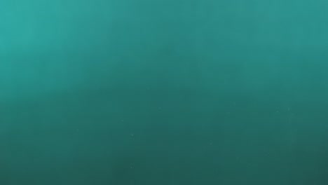 una gota de lluvia cae en el agua verde, una gota del agua, una onda, ondas en la superficie.