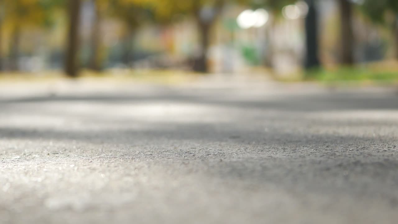 흐릿한 가을 공원 길