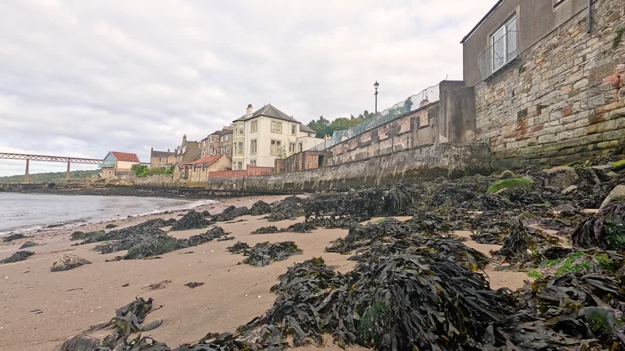건물 과 다리 근처 에 있는 해조류 로 인 해변