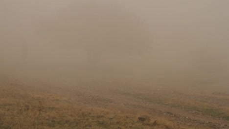 dusty path through fog