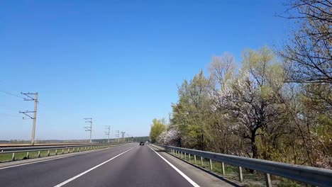 driving a car on a country road. point of view front - windshield.