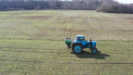 farmer drive old tractor and spray granular fertilizer on green wheat field