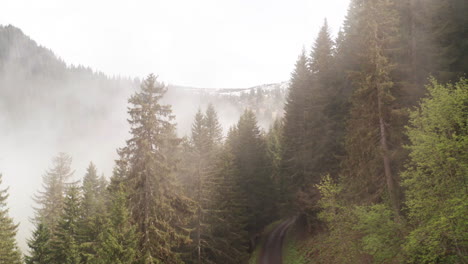 Jib-up-of-beautiful-mountain-trail-with-fog-rolling-up-mountain-slope